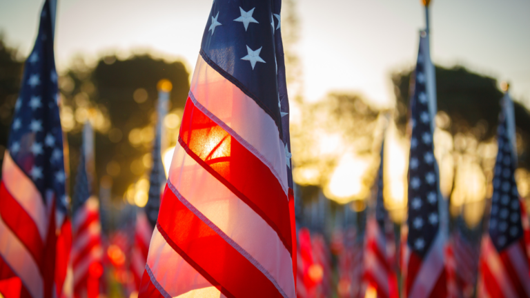 A close up shot of a group of American flags, one as the main focus in the foreground and the rest out of focus in the background. The early morning sun peeks through the flags.