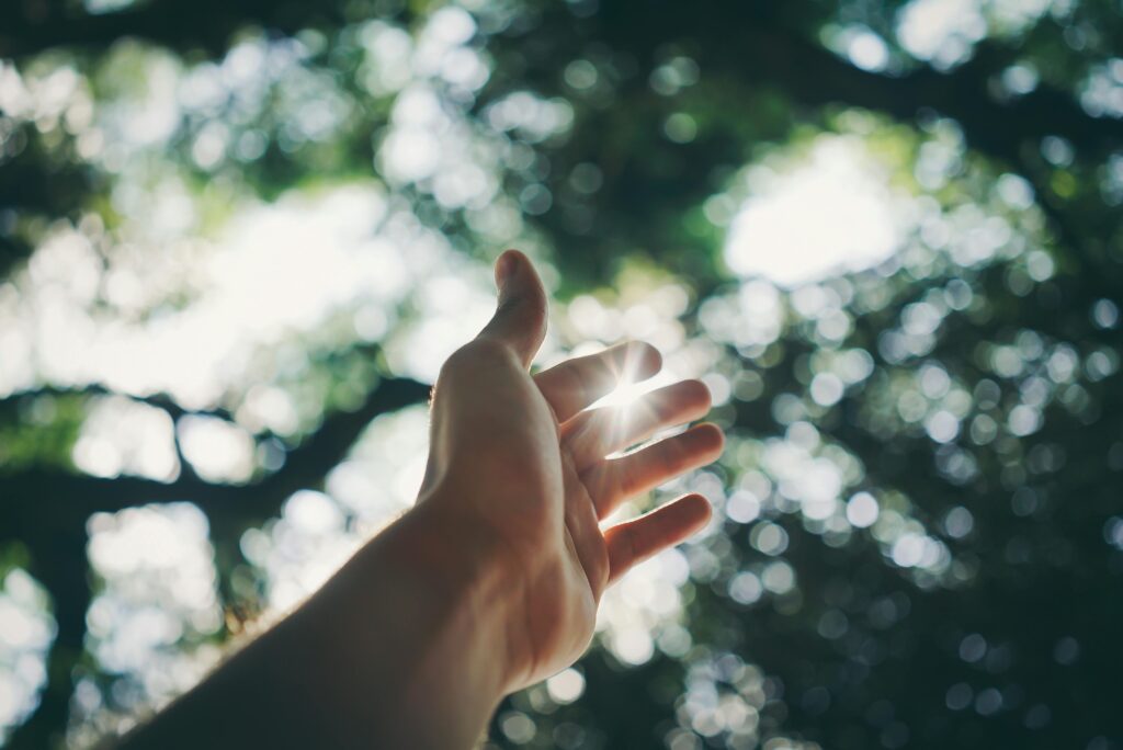 A hand reaching up with trees in the background.